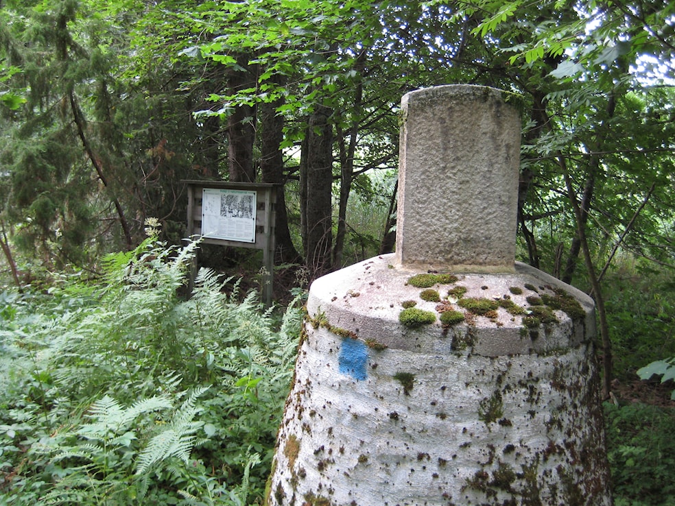 Formiddagstur